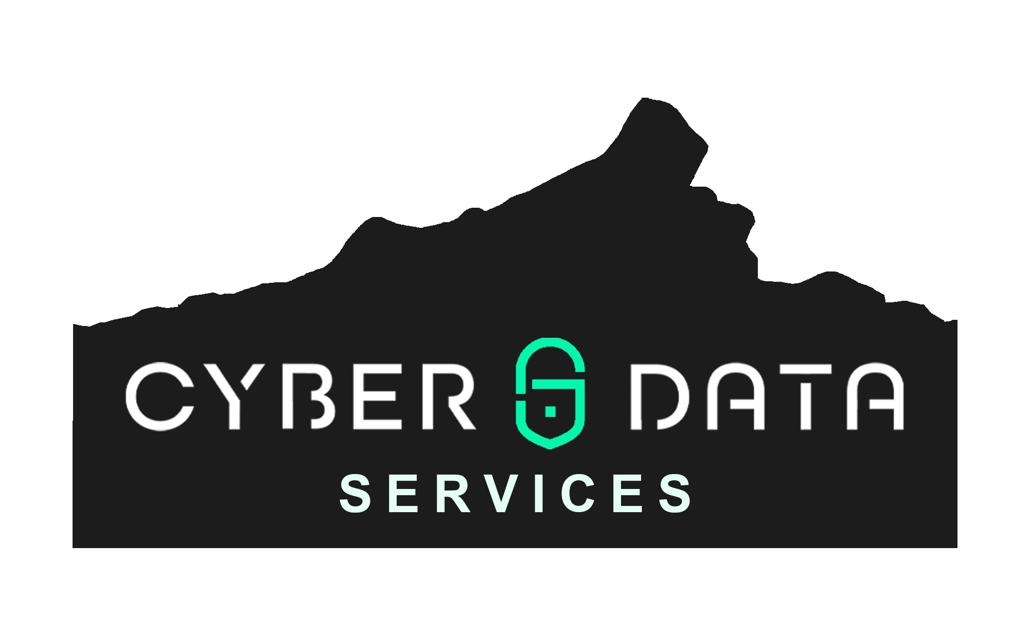 Cyber Data Services logo