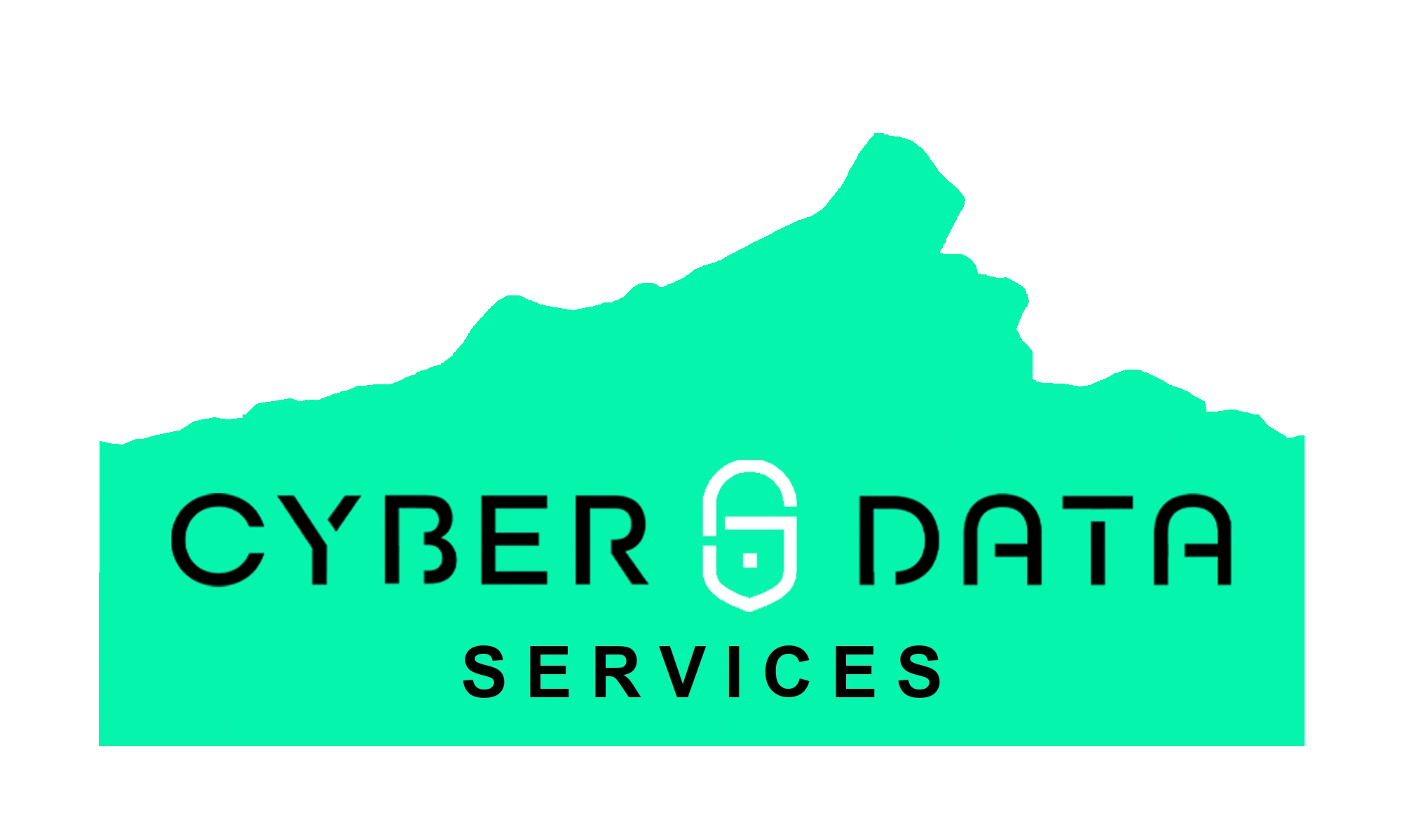 Cyber Data Services logo